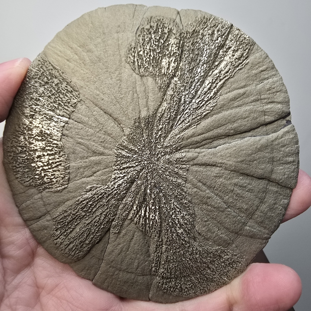Pyrite Sun Crystal 3.8 inches - Picture 5 of 11